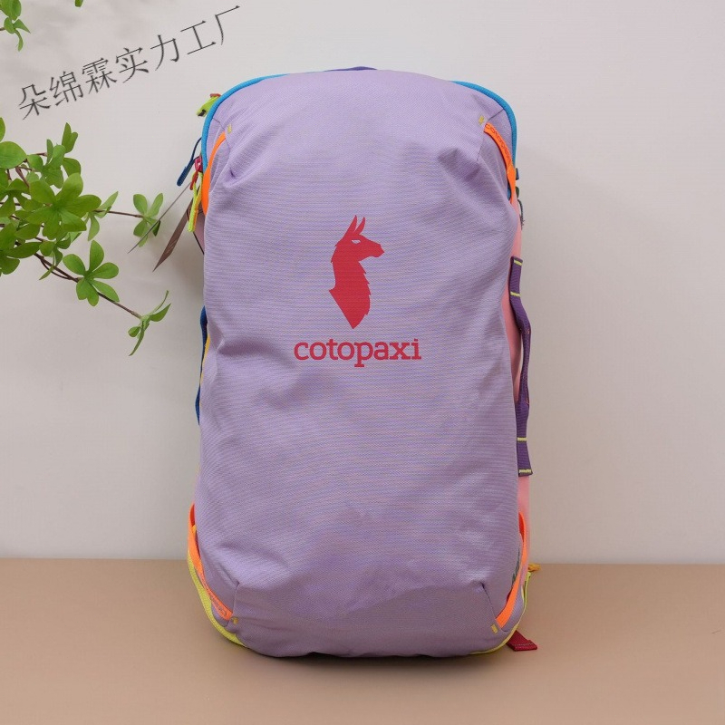 Waterproof Color Block Backpac - đánh giá và giá Women Bags Waterproof