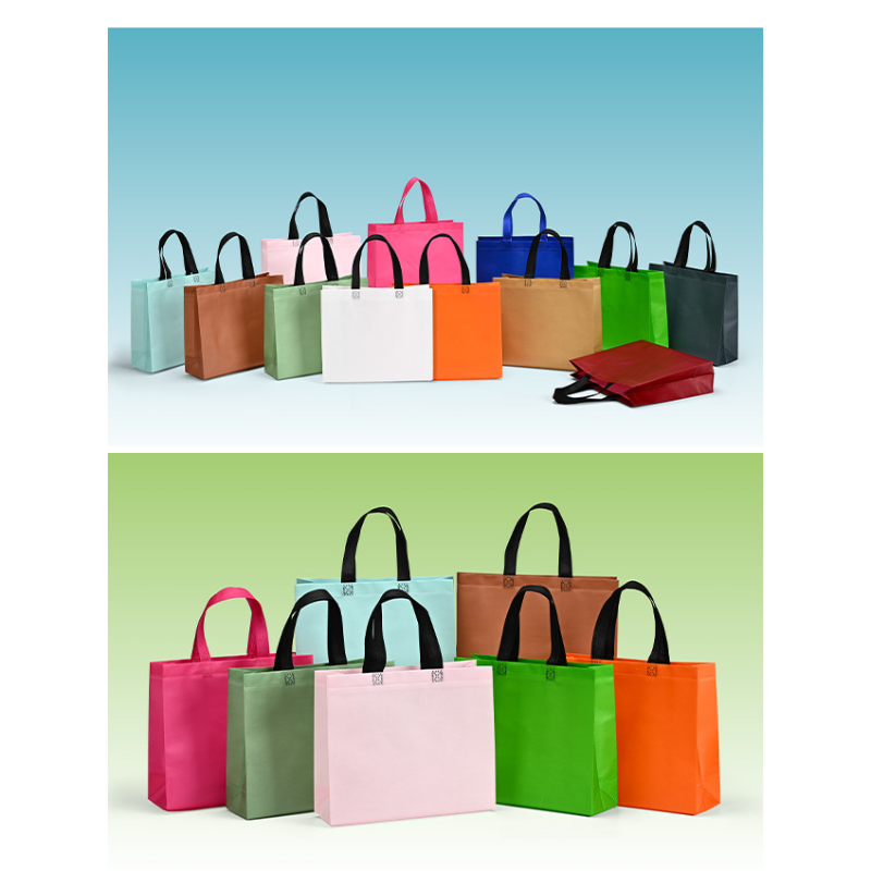 Women Foldable Shopping Bag Re - đánh giá và giá Women Bags For Eid