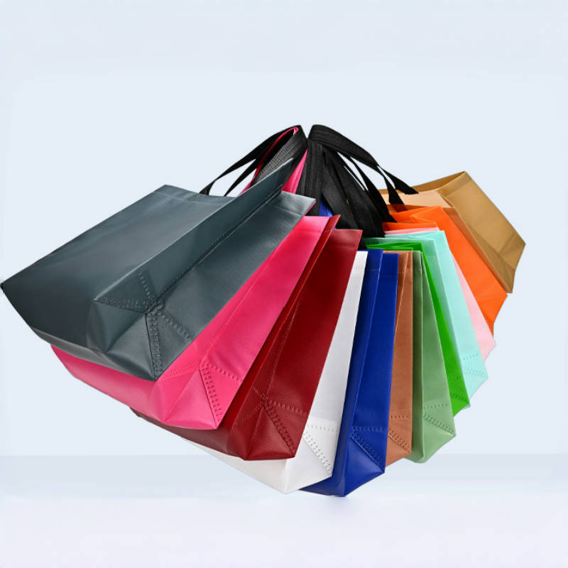 Women Foldable Shopping Bag Re - đánh giá và giá Women Bags For Eid